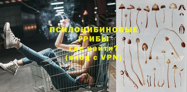 меф Арсеньев