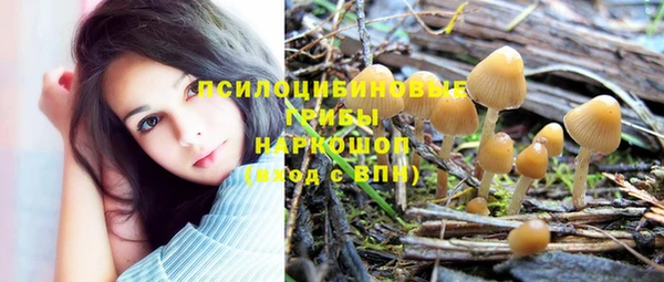 меф Арсеньев