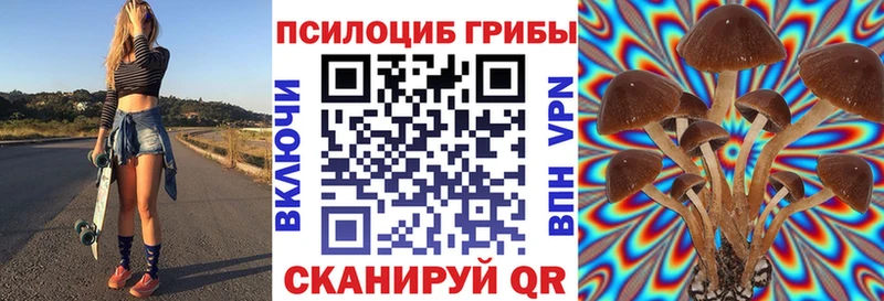 сколько стоит Тырныауз Галлюциногенные грибы прущие грибы