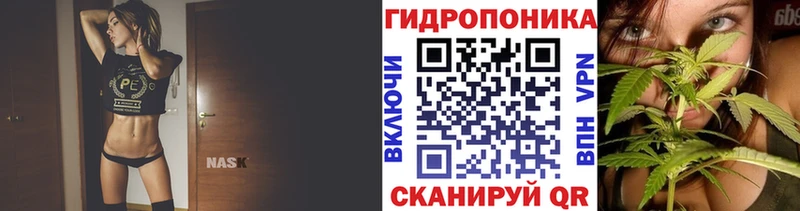 Шишки марихуана конопля  omg зеркало  Тырныауз 